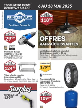 Princess Auto Pièces Outils Accessoires Automobile