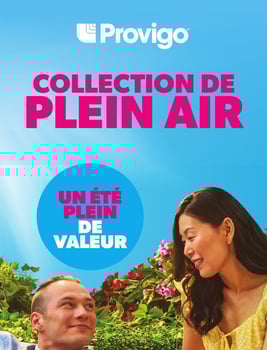 Circulaire Provigo - Collection de Plein Air