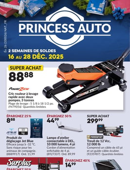 Princess Auto Pièces Outils Accessoires Automobile
