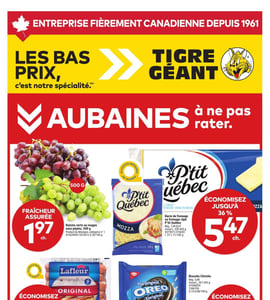 Circulaire Tigre Géant