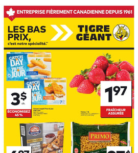 Circulaire Tigre Géant