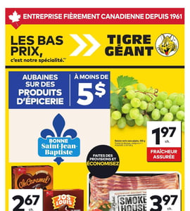 Circulaire Tigre Géant