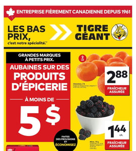 Circulaire Tigre Géant