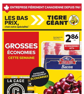 Circulaire Tigre Géant