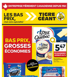Circulaire Tigre Géant