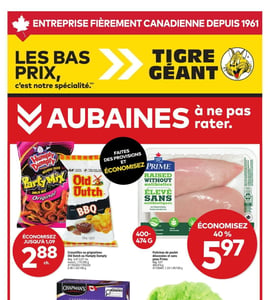 Circulaire Tigre Géant