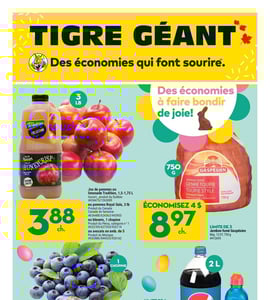 Circulaire Tigre Géant