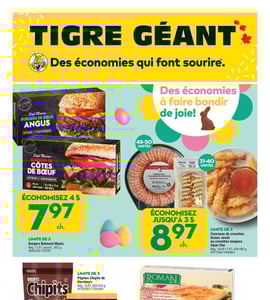 Circulaire Tigre Géant