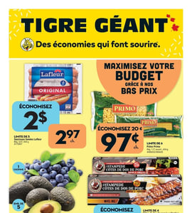 Circulaire Tigre Géant