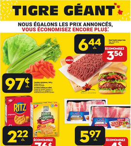 Circulaire Tigre Géant