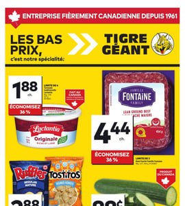 Circulaire Tigre Géant