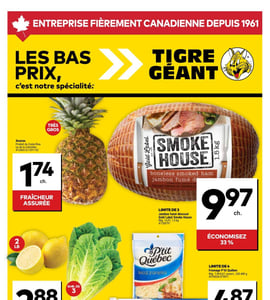 Circulaire Tigre Géant