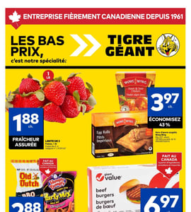 Circulaire Tigre Géant