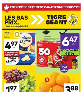 Circulaire Tigre Géant