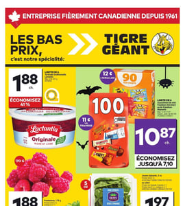 Circulaire Tigre Géant
