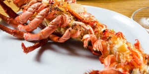 Salade de Homard Grillée