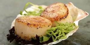 Noix de Saint Jacques Grillées