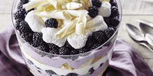 Bagatelle à la Mûre, Ricotta et Vanille