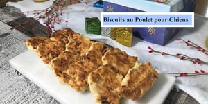 Biscuits au Poulet pour Chien (pour Noël)