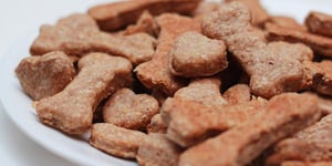 BISCUITS BON CHIEN