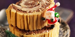 Bûche au Café Chocolat Noisettes