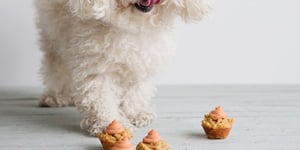 CUPCAKES POUR CHIENS AU POULET, AUX CAROTTES, À LA BANANE & GLAÇAGE AUX ARACHIDES