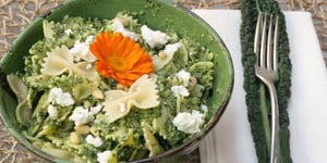Farfalles au Chou Kale et au Chèvre