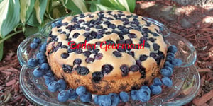 Gâteau Moelleux aux Bleuets