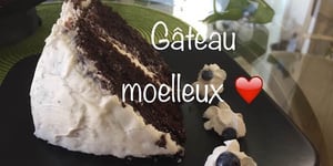 Gâteau Moelleux au Chocolat