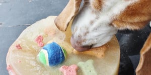 Photo de la Recette: Gâteau Surprise Glacé pour Chien