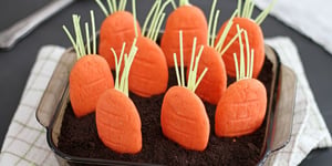 Jardin de Carottes en Biscuits