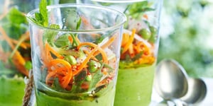 Jardinière en Gazpacho tout Vert