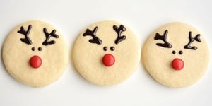 Les Biscuits du Renne au Nez Rouge