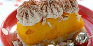 Mini Bûche Glacée à la Mangue