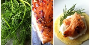 Photo de la Recette: Mini-pancakes, Saumon Fumé, Yogourt Grec et Aneth