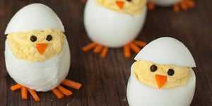 OEUFS POUSSINS