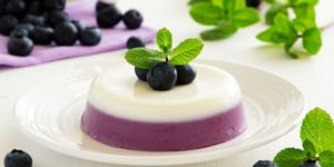 Panna Cotta aux Myrtilles