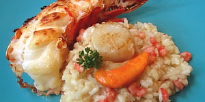 Queue de Langouste et St-Jacques sur Risotto aux Crevettes