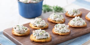 Tartinade de Thon au Yogourt Grec