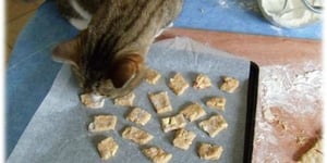 Photo de la Recette: Biscuits pour Chaton