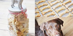 Photo de la Recette: Biscuits pour Chiens Maison