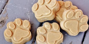 Photo de la Recette: Gâteries Rafraîchissantes pour Chiens