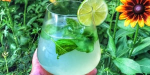 Photo de la Recette: Mojito à la Sambuca