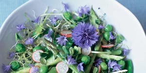 Photo de la Recette: Salade Fraîcheur à la Fleur de Bleuet