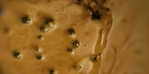 Sauce aux 5 Poivres (sans alcool) Idéale pour Steaks ou Filets Mignons
