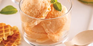 Sorbet au Cantaloup et Lait de Coco