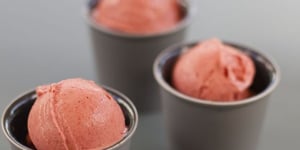 Sorbet Plein Fruit