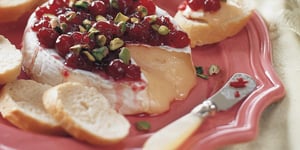 Tartinade au Brie, aux Canneberges et aux Pistaches