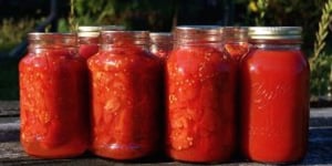 Photo de la Recette: TOMATES EN CONSERVE
