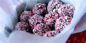 Truffes Express au Fromage à la Crème
